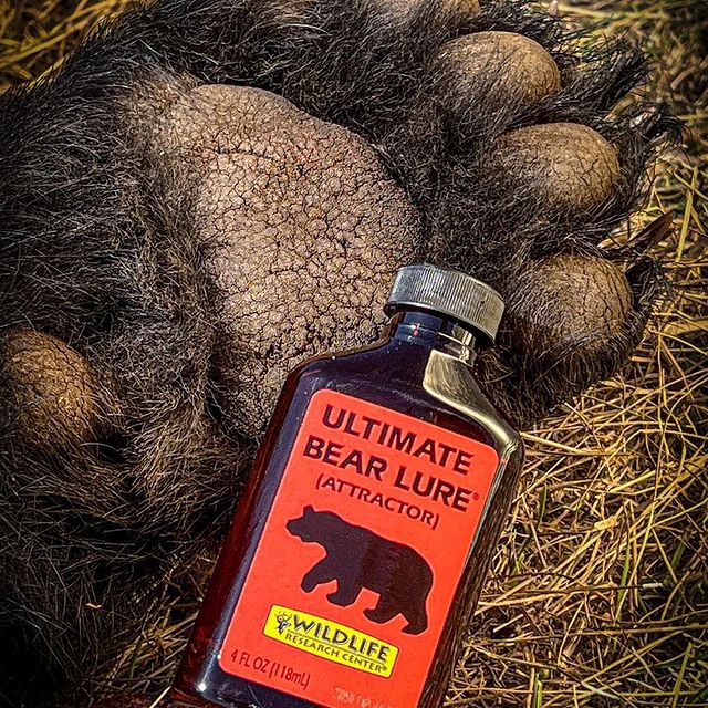 Ultimate Bear Lure