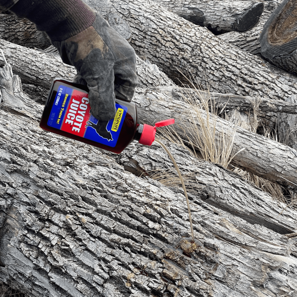 Appat Chasse Coyote Curiosite Wrc Predator WRC Predator Leurre Coyote 0,2l - Appel De Curiosité Pour Chasse Flacon Squirt Leurre